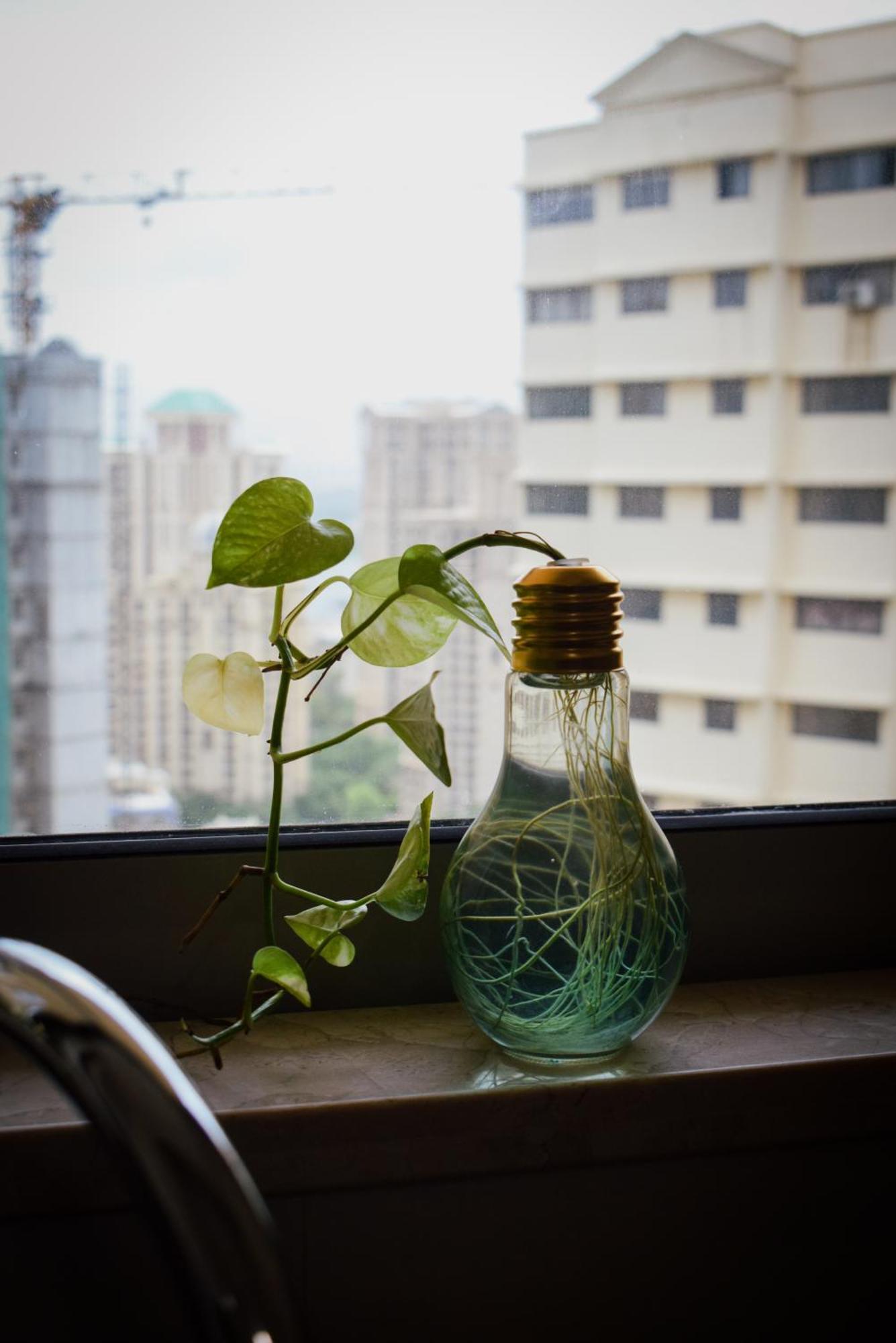 Apartament Trendyexpressstay *